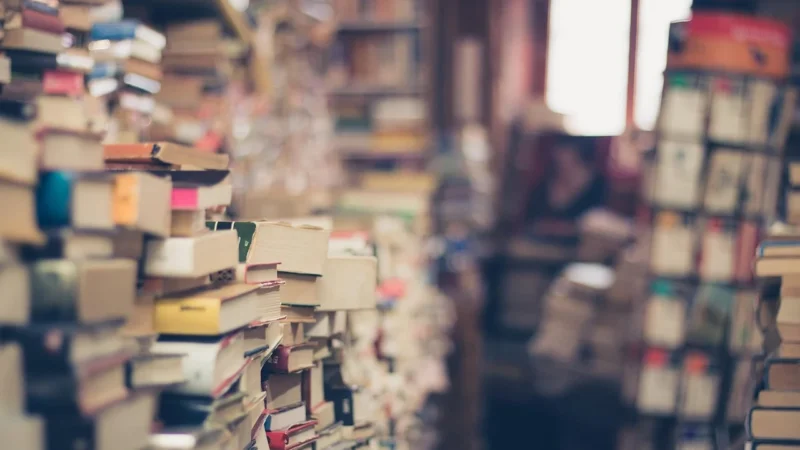 Rola inteligentnych systemów magazynowych w nowoczesnej logistyce